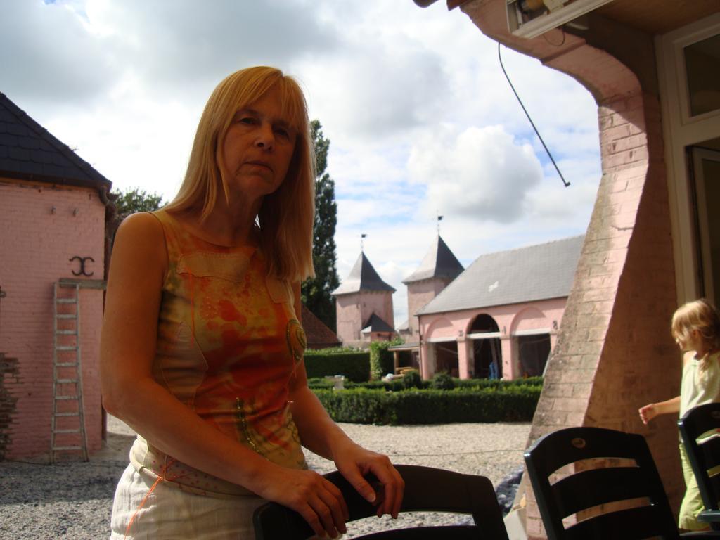B&B Chateau Bagatelle Frasnes-lez-Anvaing Екстериор снимка