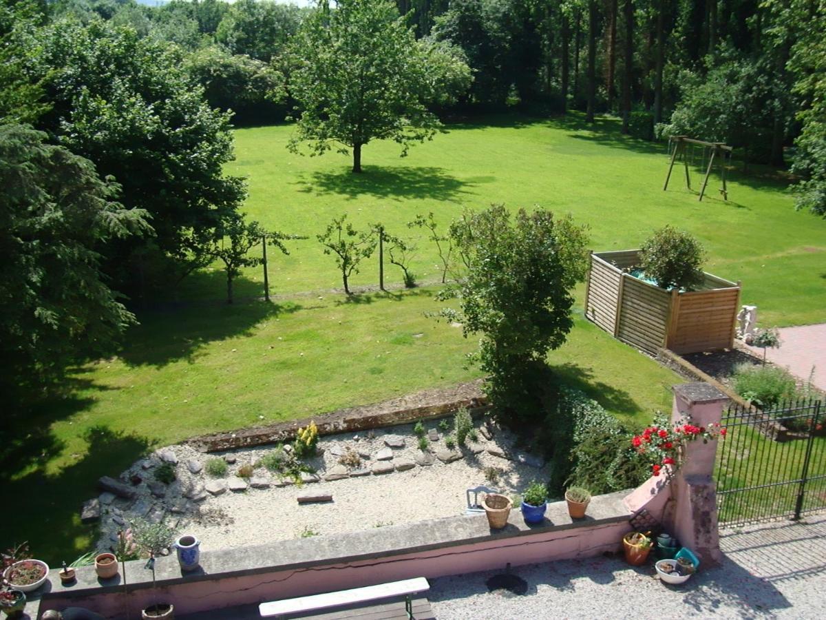 B&B Chateau Bagatelle Frasnes-lez-Anvaing Екстериор снимка